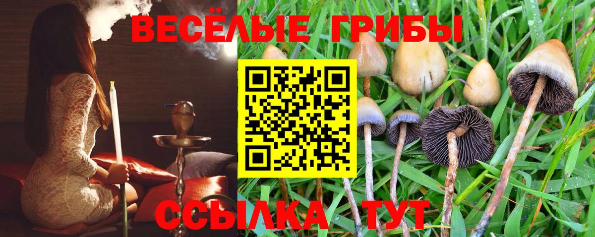 Псилоцибиновые грибы Psilocybine cubensis  Вход с VPN  Белебей 